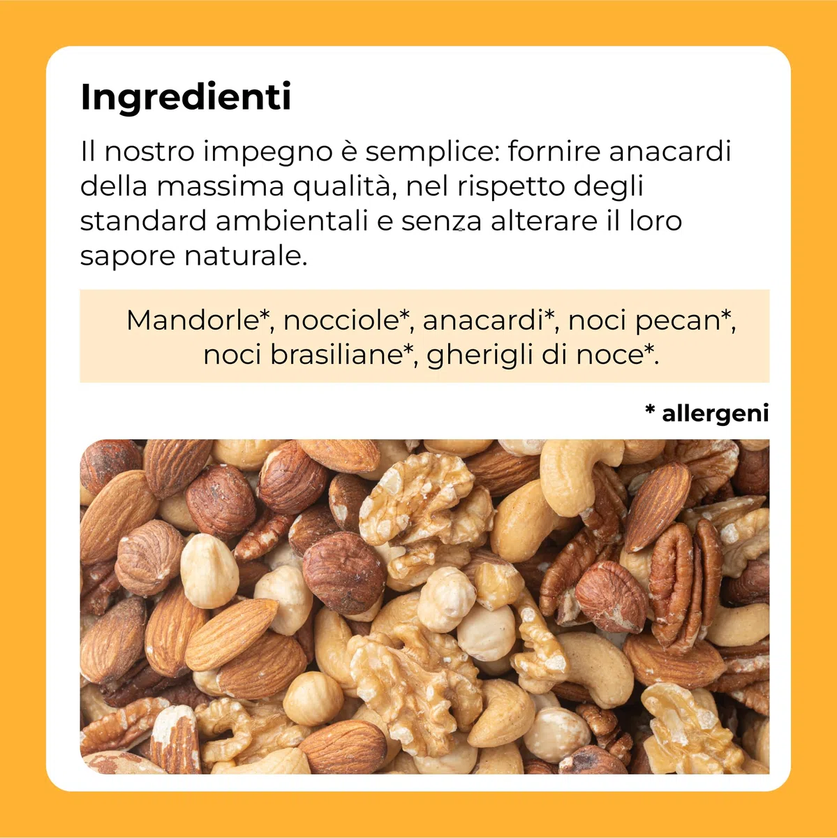 Miscela di noci 1 Kg (mandorle, nocciole, Anacardi, noci Pecan, noci del Brasile e gherigli di noce)