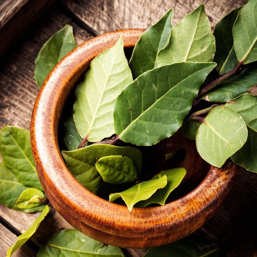 Alpi Nature Foglie di Alloro BIO 200g, Foglie Intere Essiccate, Spezia di Alloro per Cucina