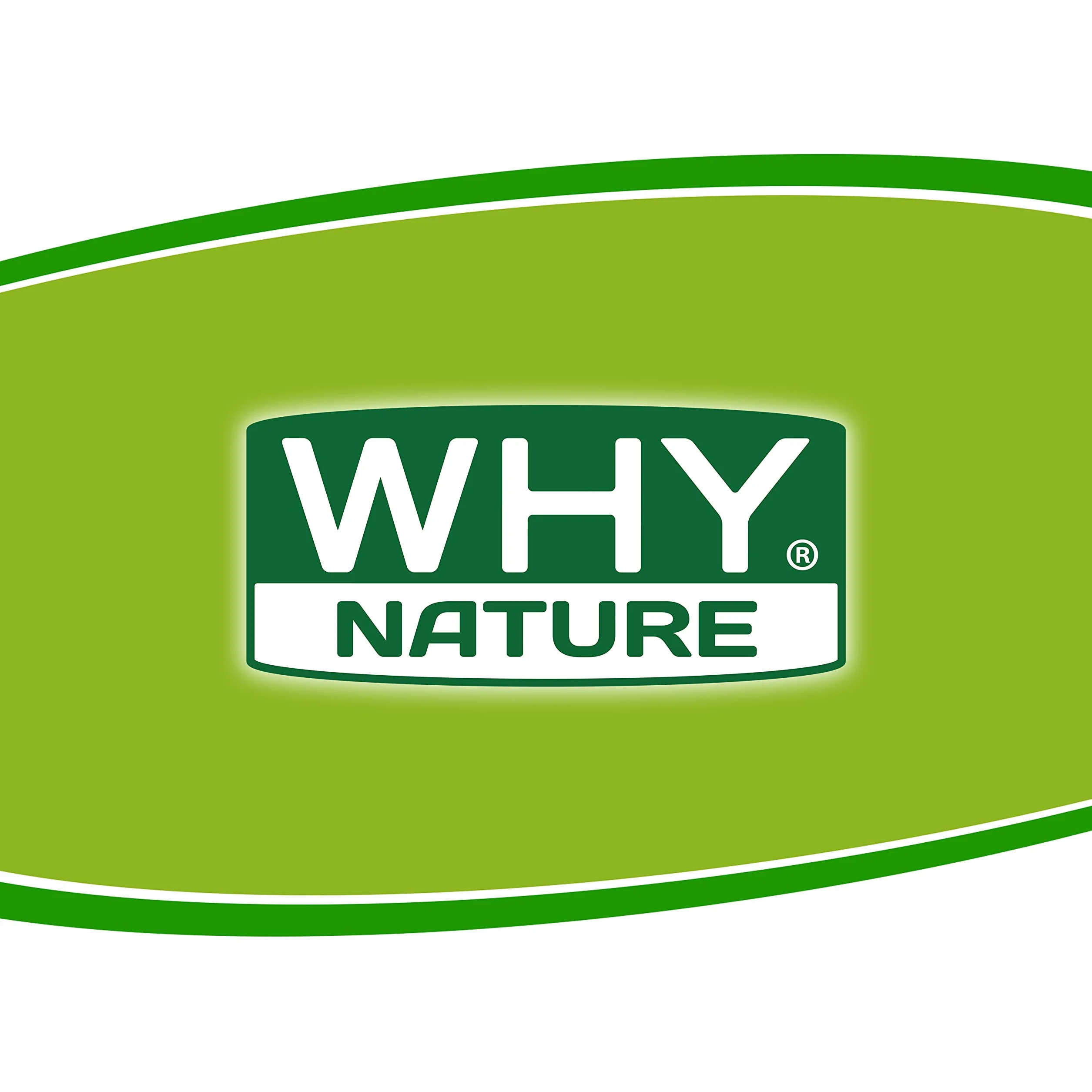 WHY NATURE LOW SUGAR ICE CREAM ZERO - Preparato Per Gelato Proteico - Senza Glutine - Gusto Cioccolato - 200 gr