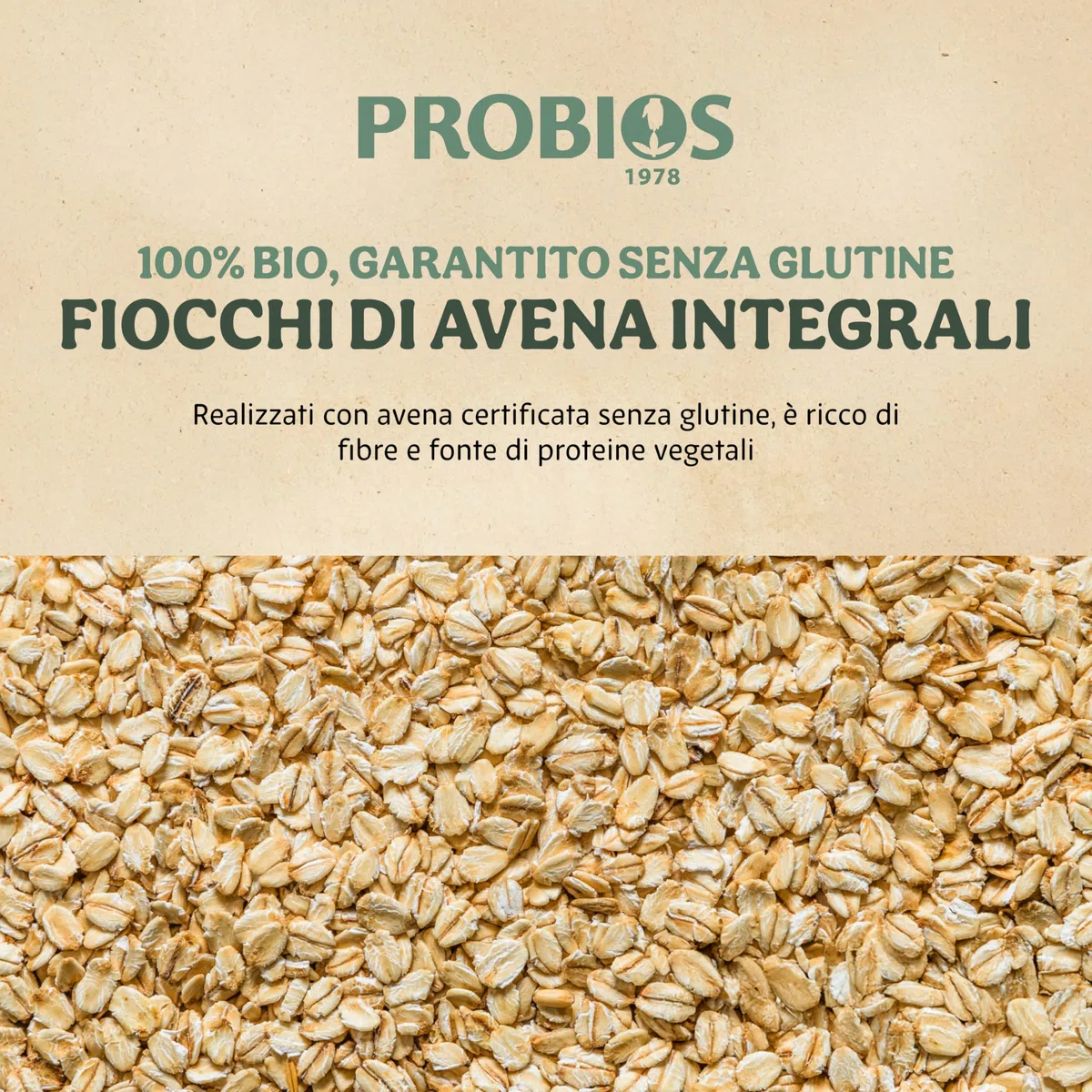 FIOCCHI DI AVENA INTEGRALI MIGNON SENZA GLUTINE