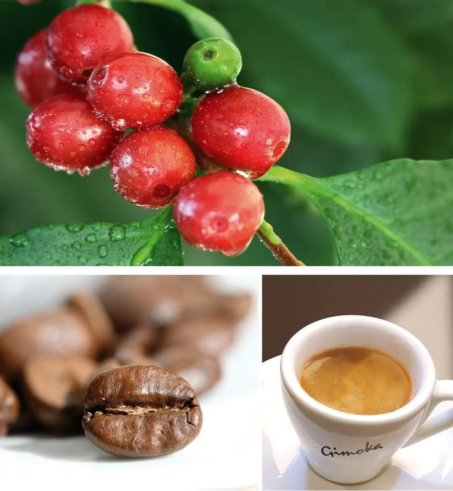Gimoka - Compatibile Per Lavazza - A Modo Mio - 144 Capsule - Gusto INTENSO - Intensità 12 - Made In Italy