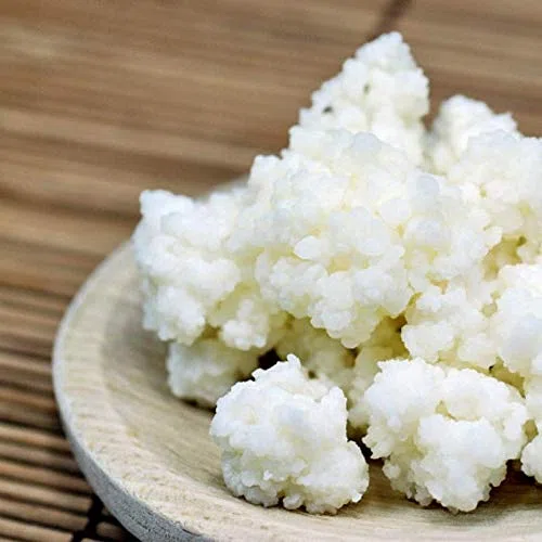 Kefiring - Grani di Kefir da latte italiani microbiologicamente controllati (Manuale d'uso dettagliato ed informazioni di utilizzo)