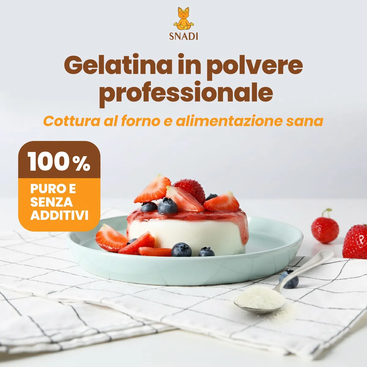 Snadi Gelatina in polvere | 1 kg | 100% pura, insapore e qualità professionale | Ricca di aminoacidi precursori del collagene | Pasticceria, dessert, gel e salse | Facile da sciogliere e consistenza