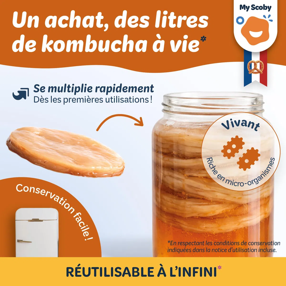BIO Scoby di kombucha - Fresco - Riutilizzabile - Starter incluso - Controllato - Ricetta completa inclusa