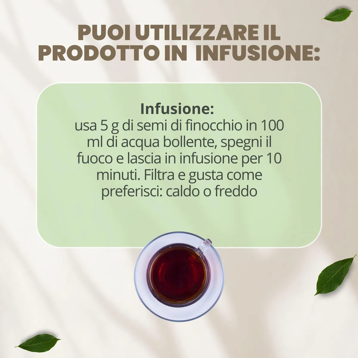 PATRIZIO BRESEGHELLO - Semi Finocchio Frutti Verdi Extra 100 g per Benessere Intestinale e Digestione - Semi di Finocchio per Tisana e Infuso 100% Naturali