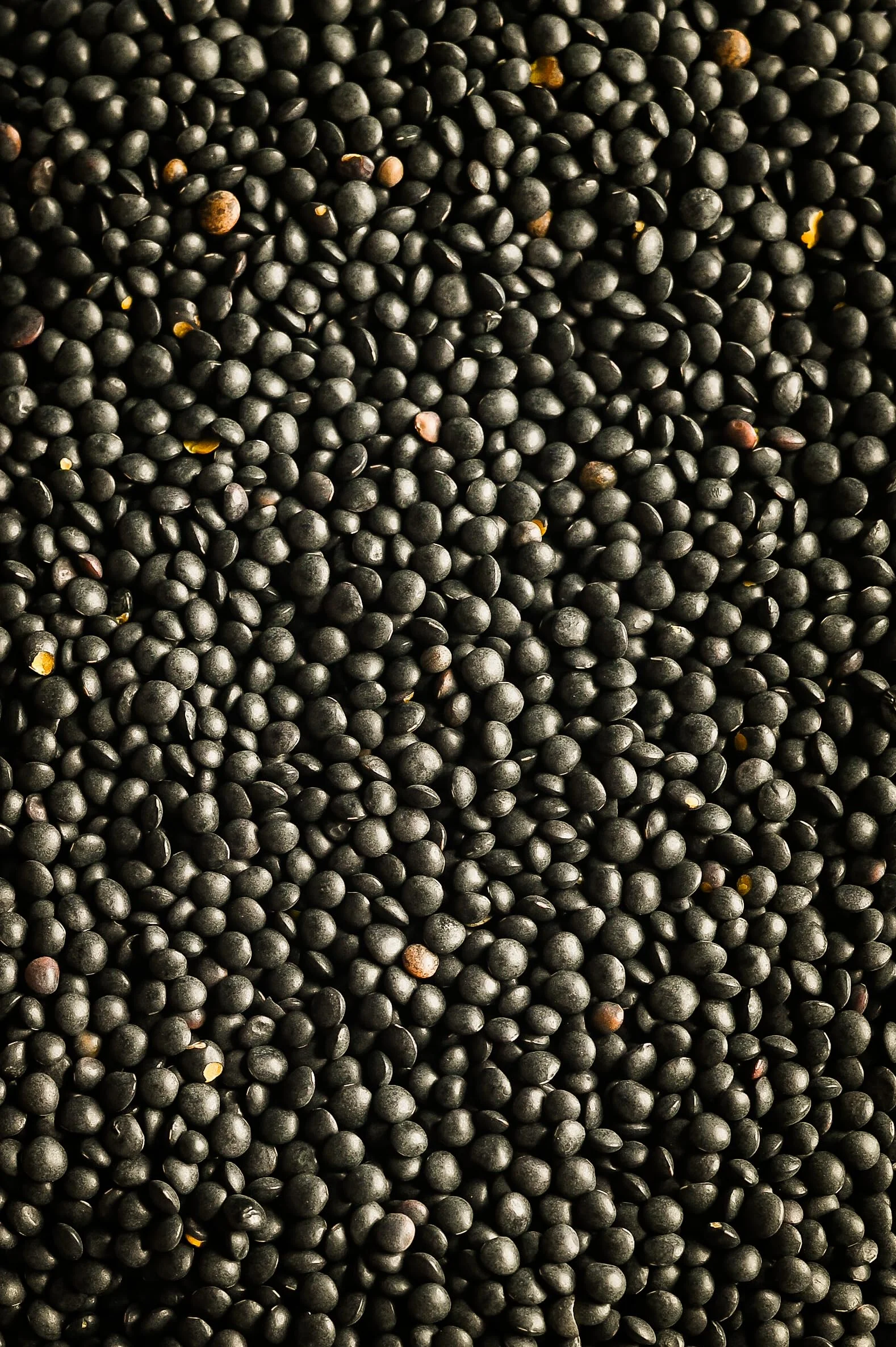 Biojoy Lenticchie nere Beluga BIO (1,5 kg), essiccato e intero, senza additivi