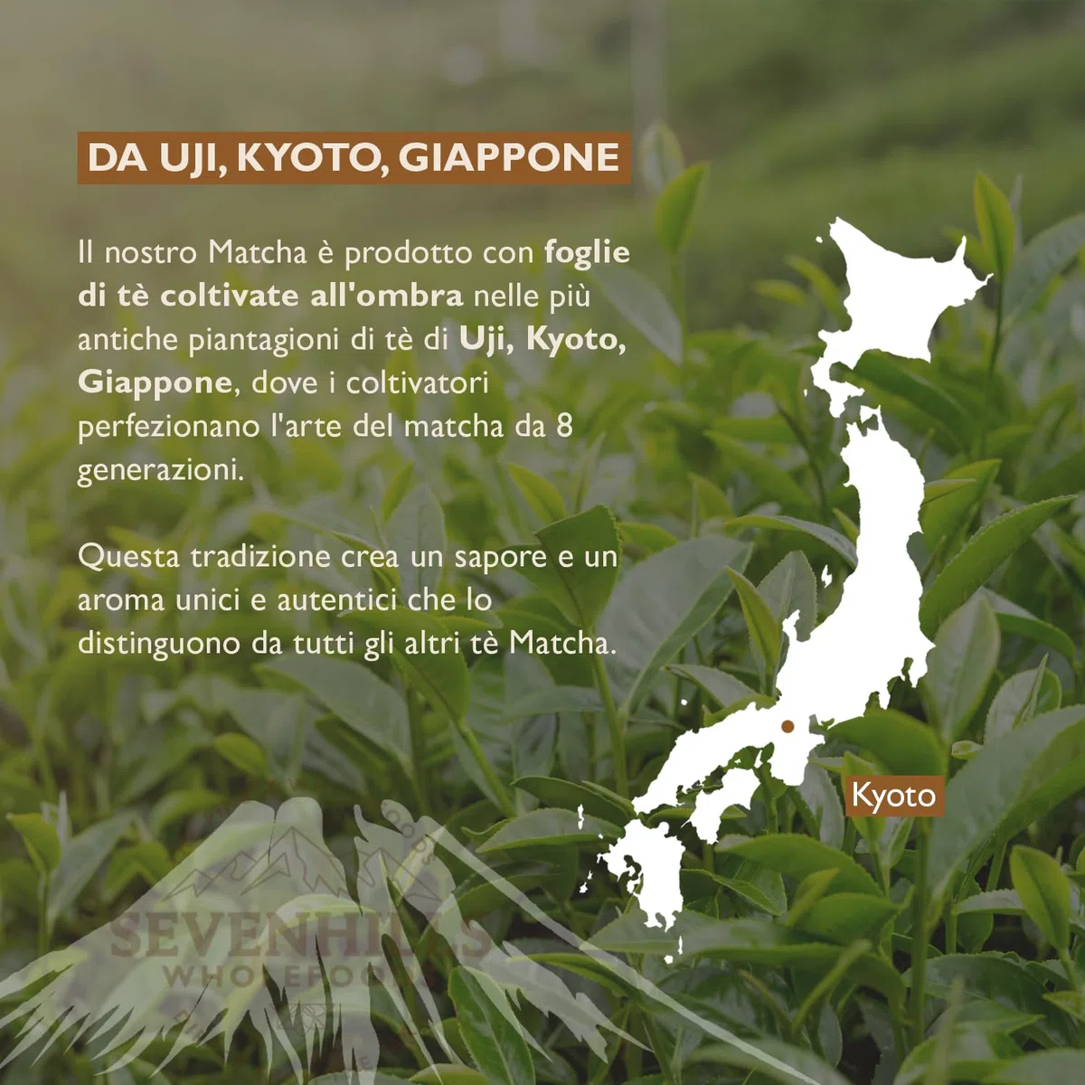 Sevenhills Wholefoods Polvere Di Tè Verde Matcha Cerimoniale Giapponese Crudo Bio 200g