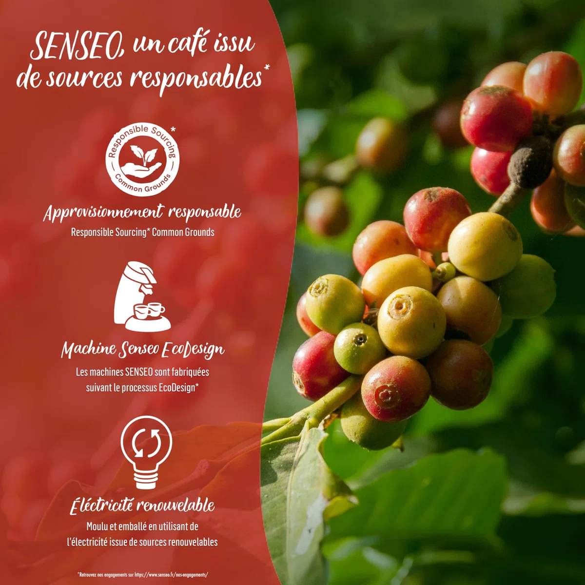 SENSEO Café classique - 54 dosettes