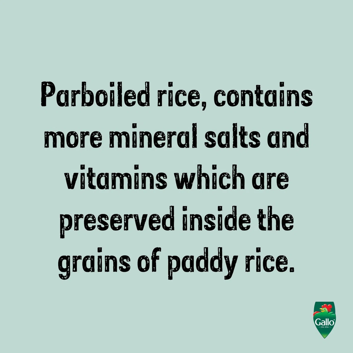KG 5 RISO GALLO THAIBONNET PRIMA SCELTA LONG GRAIN PARBOILED RICE