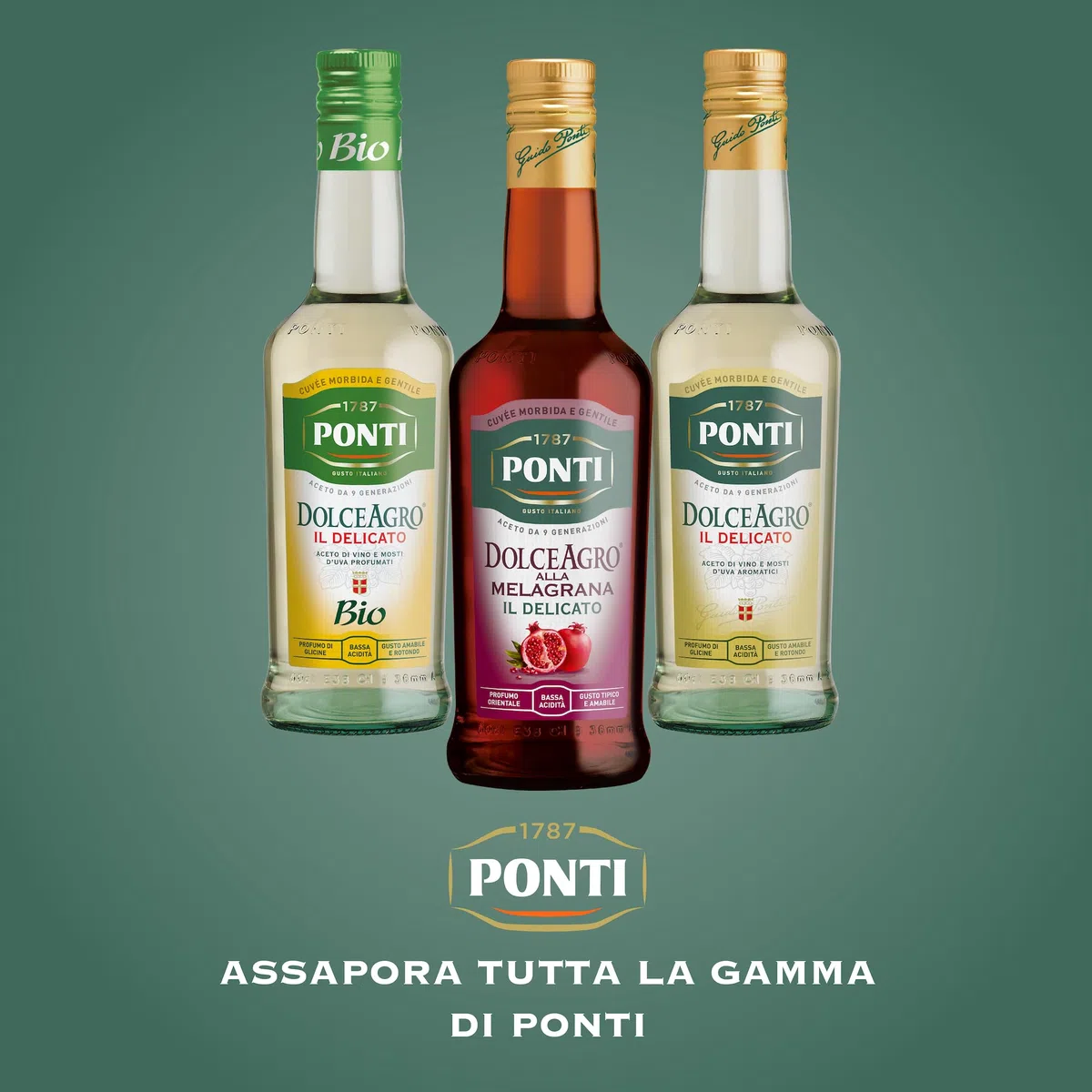 Ponti, DolceAgro alla Melagrana, Gusto Tipico e Amabile, dal Profumo Orientale e dalla Bassa Acidità, Ideale per Insalate e anche per le Carni Bianche, 100% Made in Italy, 6 Bottiglie da 500 ml