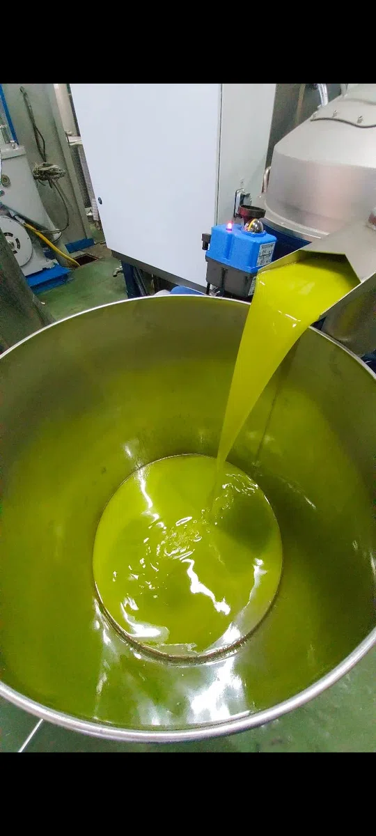 edizione 2025/2026 | Confezione Olivottoil & Wild olio extra vergine d'oliva artigianale (2x750ml) | Prodotto Nutraceutico