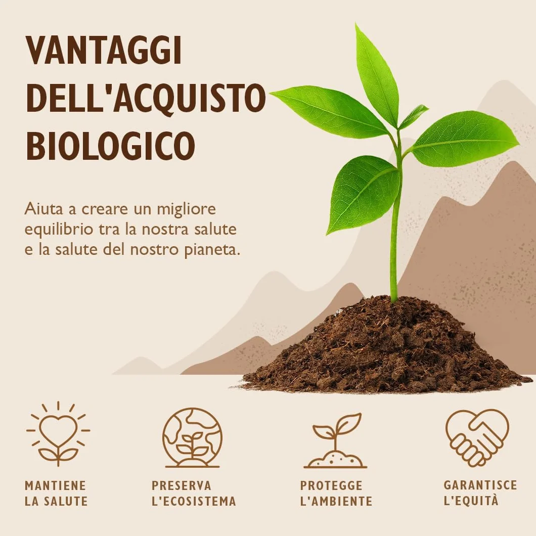 Sevenhills Wholefoods Zucchero Di Cocco Bio 1.8 kg, dal fiore di nettare di cocco, per bevande, dessert e prodotti da forno