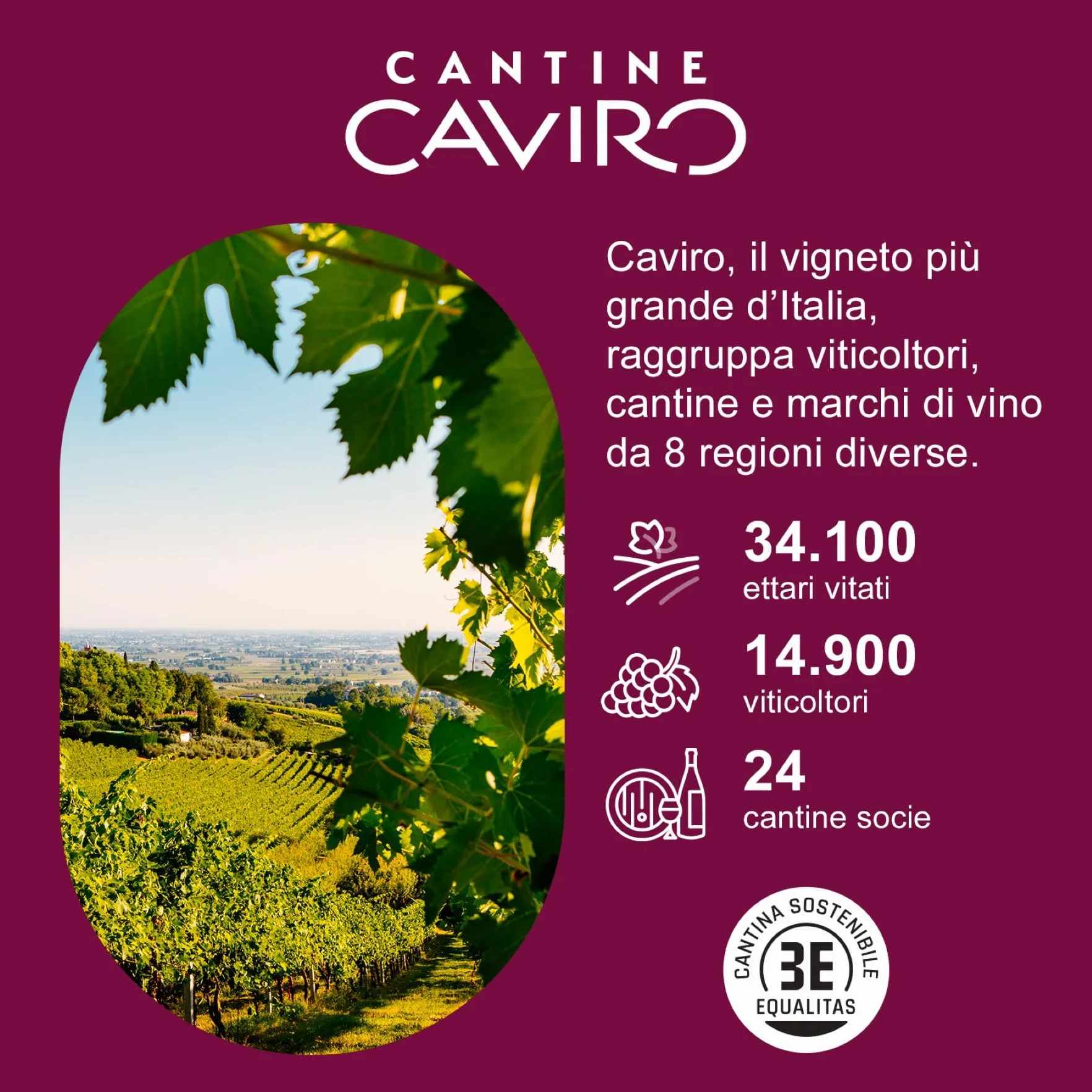 Feudo Apuliano Rosato Salento IGP, Vino Rosato dal Gusto Fresco e Vitale con Finale Agrumato e Profumo Fruttato, 12.5% Vol, Confezione con 6 Bottiglie da 750 ml
