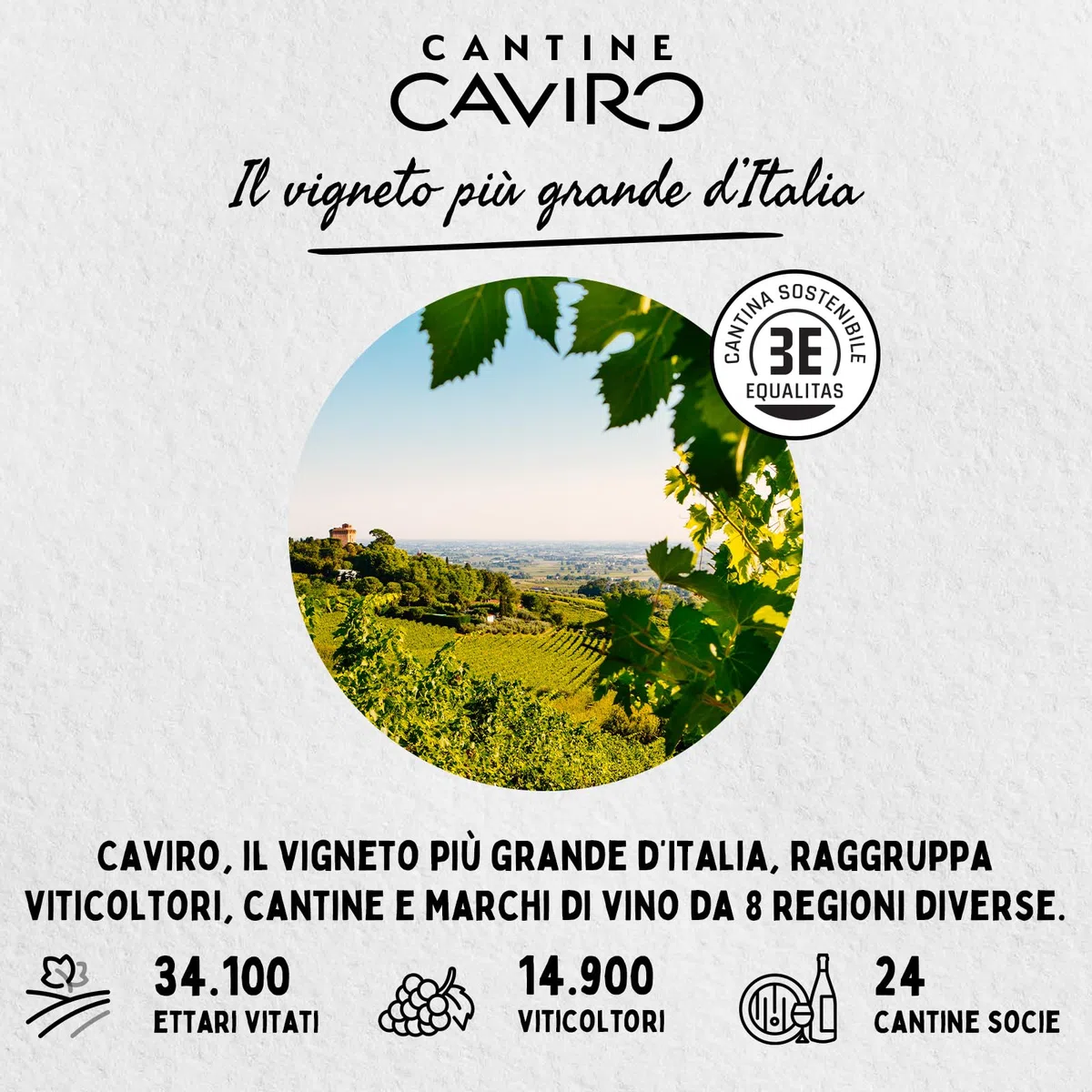 Tavernello Classico Vino Bianco d'Italia, Vino Secco con Profumi Fruttati, 10.5% Vol, Confezione con 15 Brick da 0,5 L