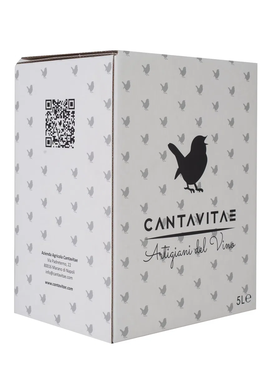 VINO ROSATO IGP IGT bag in Box 5 L rosé CAMPANIA 13% Sfuso da Azienda Agricola
