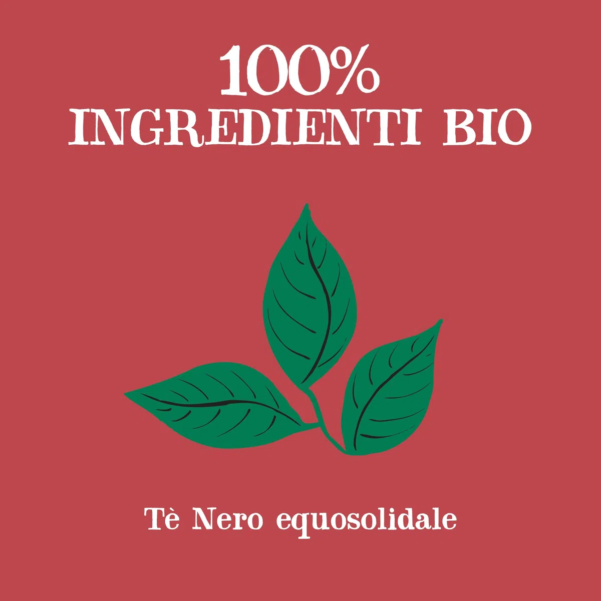 CUPPER Tè Classico English Breakfast Bio, Biologico e Fairtrade, Formato Convenienza per Casa, Ufficio e Catering, con Filtri 100% Biodegradabili e Non Sbiancati, Confezione Maxi da 250 Bustine | Tè nero potente, privo di plastica e non sbiancato, perfett