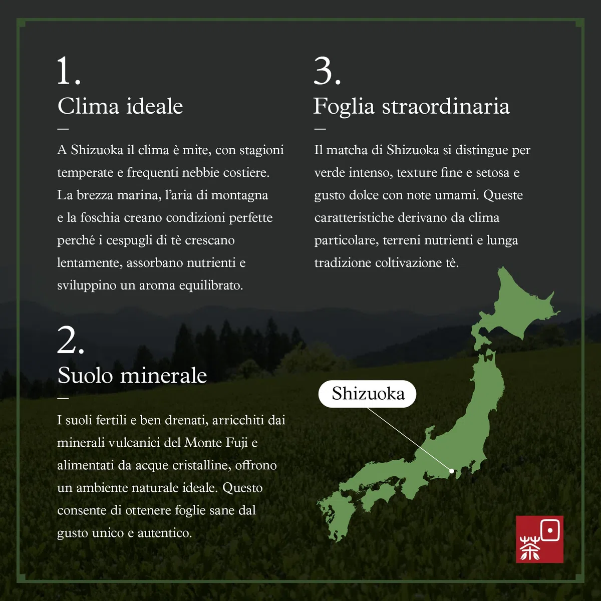 Ocha & Co. Itsumo Matcha - Grado Classico - Matcha Giapponese di Prima Raccolta in Polvere - Macinato Tradizionalmente a Pietra, 100g