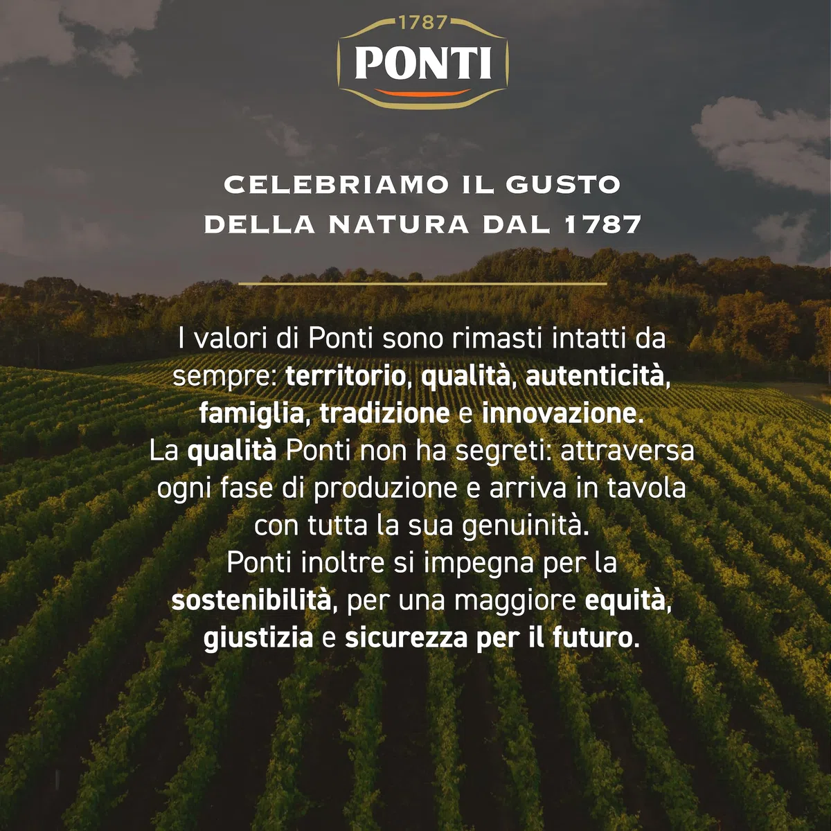 Ponti, DolceAgro alla Melagrana, Gusto Tipico e Amabile, dal Profumo Orientale e dalla Bassa Acidità, Ideale per Insalate e anche per le Carni Bianche, 100% Made in Italy, 6 Bottiglie da 500 ml