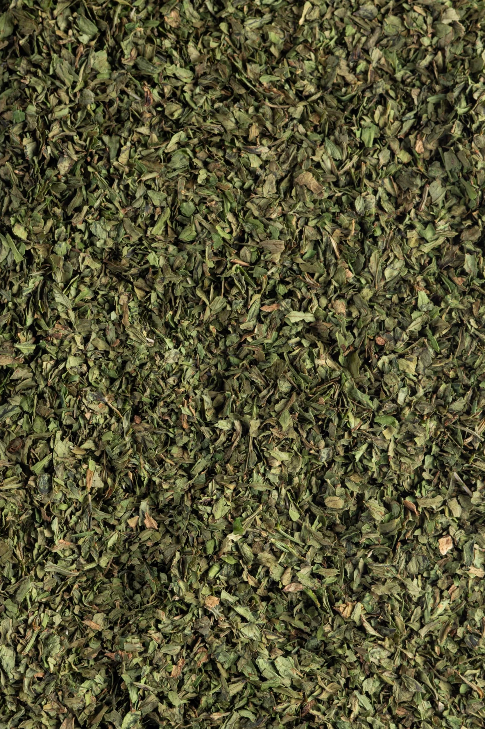 Biojoy Levistico essiccato BIO (500 g), Tritato, Sedano di Monte, Spezia senza additivi (Levisticum officinale)