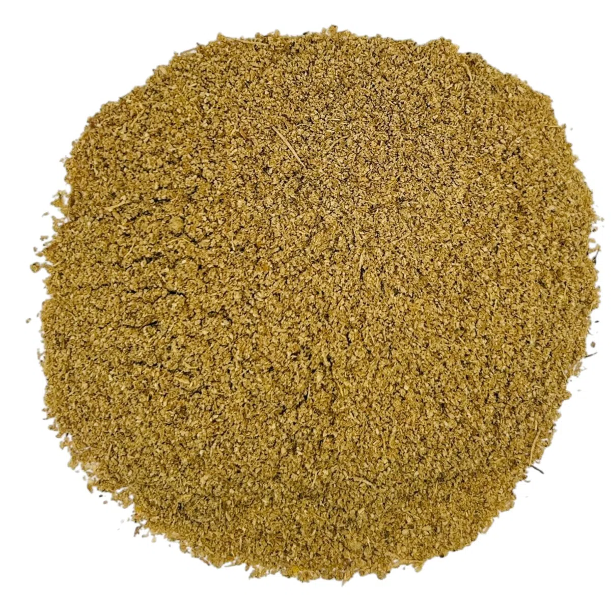 Polvere di Radice di Galanga Premium 85g - 1.95Kg alpinia officinarum (220 grammi)