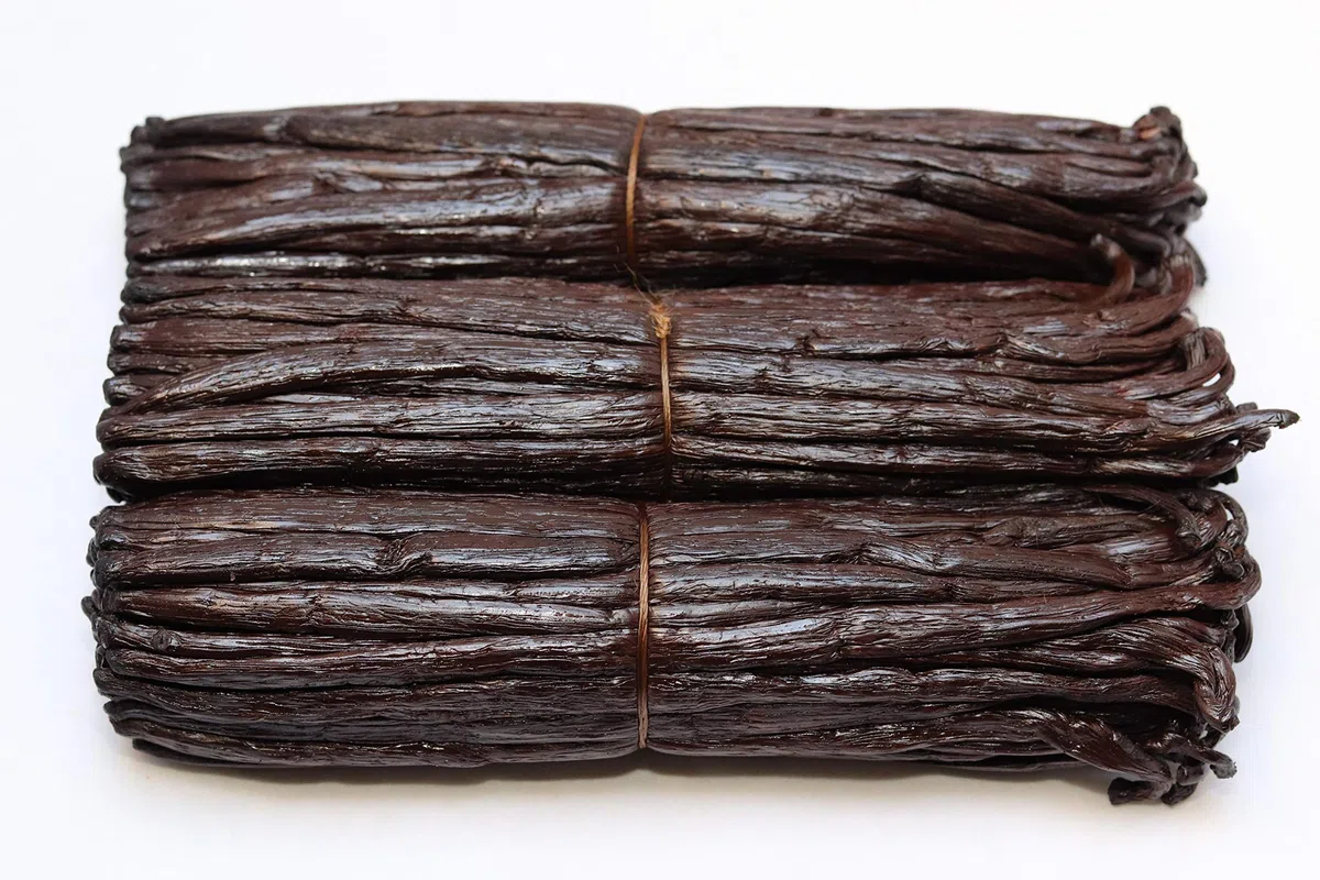 Baccelli di vaniglia bourbon del Madagascar, qualità gourmet,17-19 cm x 10 pezzi