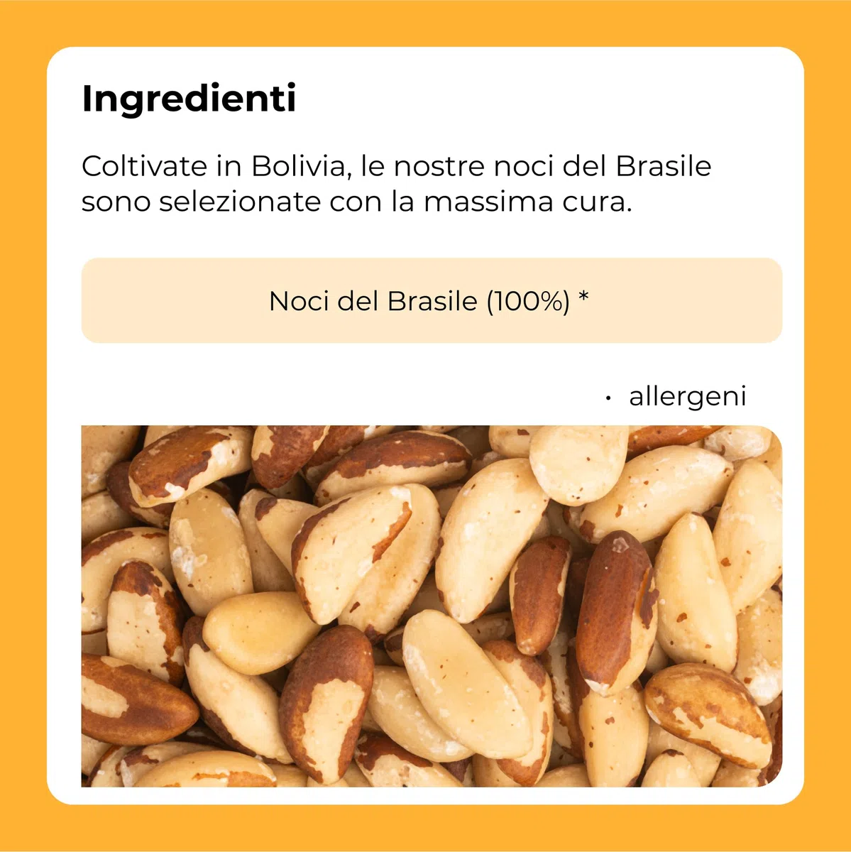 Dorimed Noci Brasiliane Naturali Intere Crude [1Kg]. Sgusciate, Raw Nuts Di Prima Scelta. Frutta Secca Scelta 100% Naturale E Cruda
