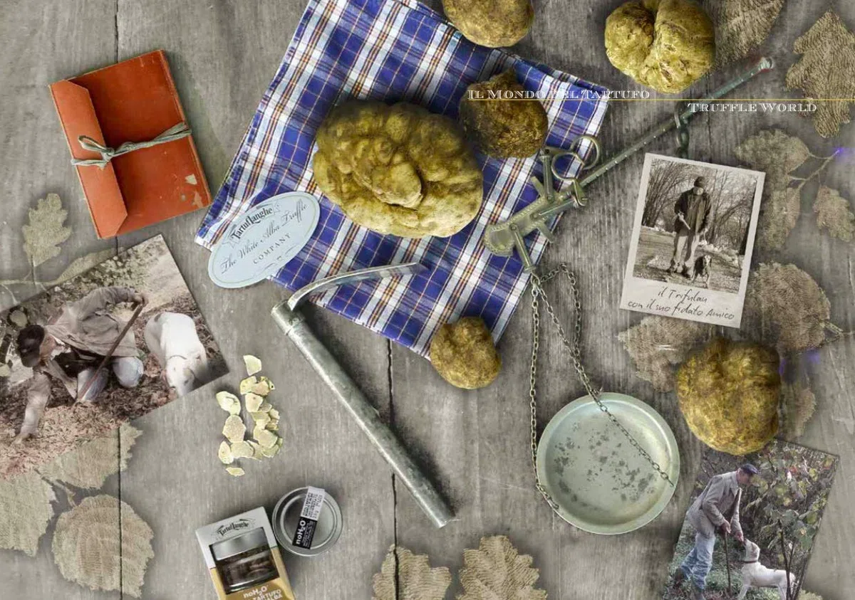 Tartuflanghe - ORO IN CUCINA: OLIO EXTRAV.d'OLIVA con TARTUFO NERO PREGIATO (Tuber melanosporum) in fette 100ml
