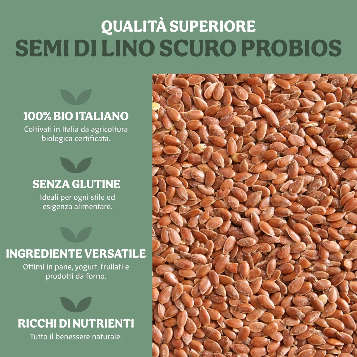 Probios Semi di Lino Scuri Biologici - Semi di Lino Bio Italiani Premium - Ricchi di Minerali e Fibre - Semi Naturali e Senza Glutine - Confezione da 5 Kg