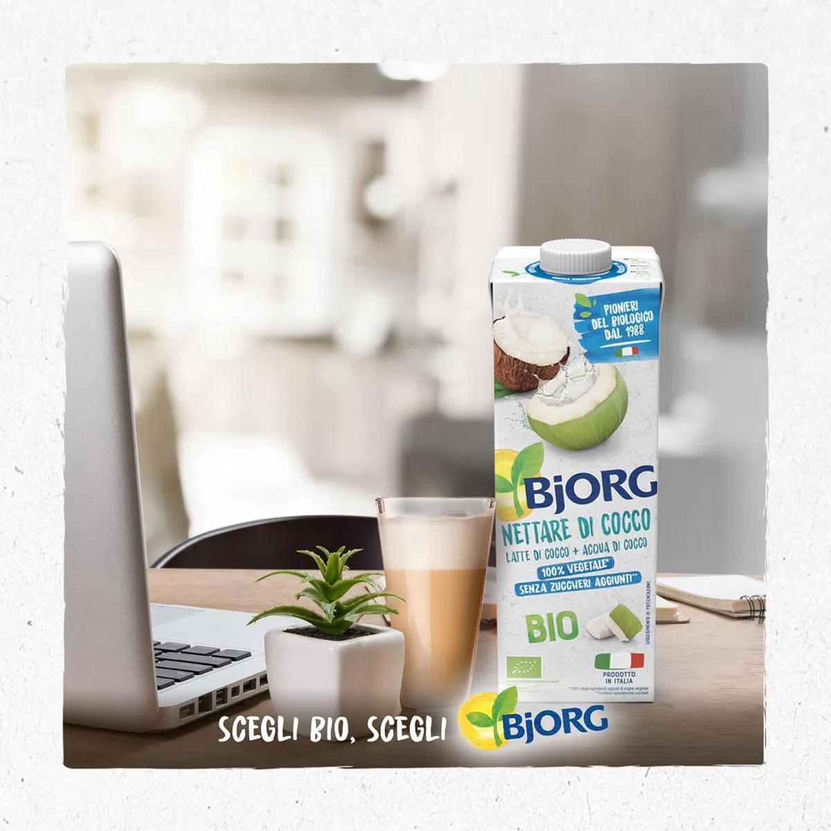 BJORG Bevanda Nettare di Cocco Biologica, Acqua di Cocco e Latte di Cocco, Bevanda Vegetale Senza Zuccheri Aggiunti, Senza Glutine, Vegan, Prodotto in Italia, 1L (Confezione da 9)
