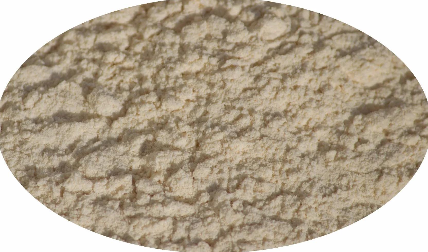 Eder Gewürze - Sedano Radice macinato - 1kg