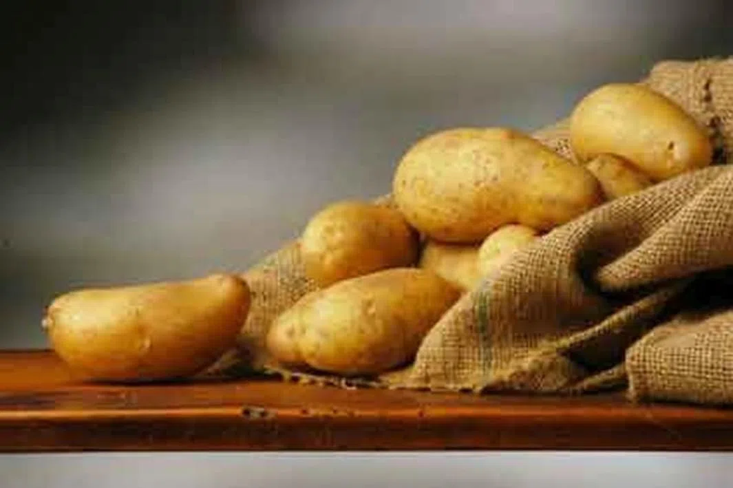 P. EMME Patate silane IGP kg.17 di PATATE coltivate in Sila Calabria Patate a pasta gialla