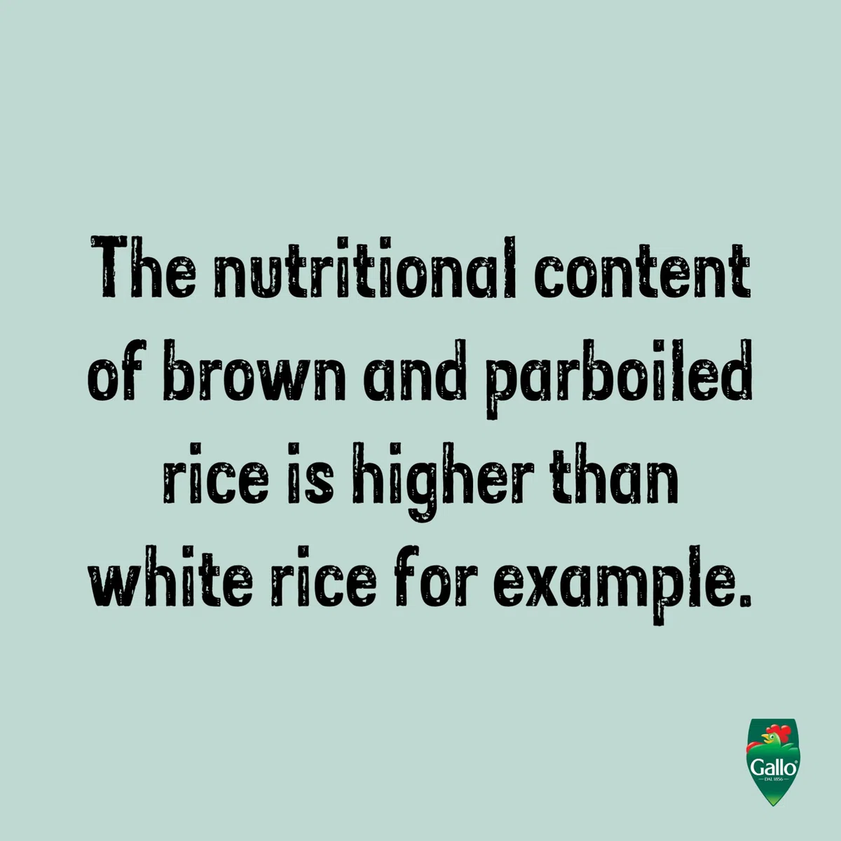 KG 5 RISO GALLO THAIBONNET PRIMA SCELTA LONG GRAIN PARBOILED RICE