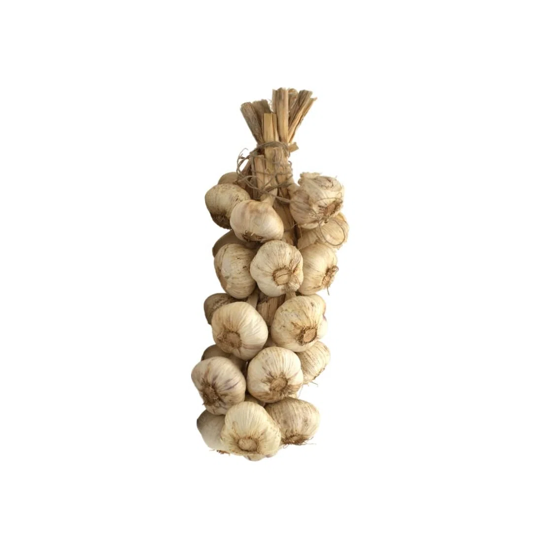 Treccia D'Aglio 1,2 Kg Circa