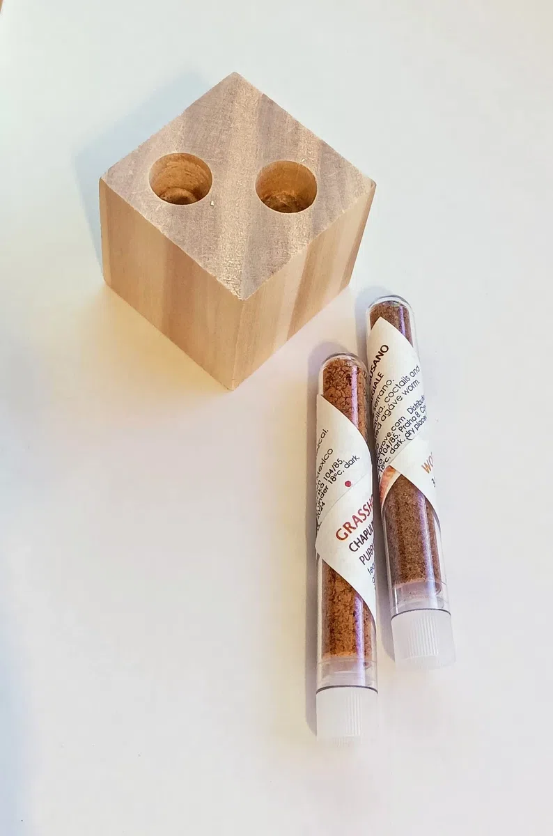 Scatola di sale con verme e cavalletta