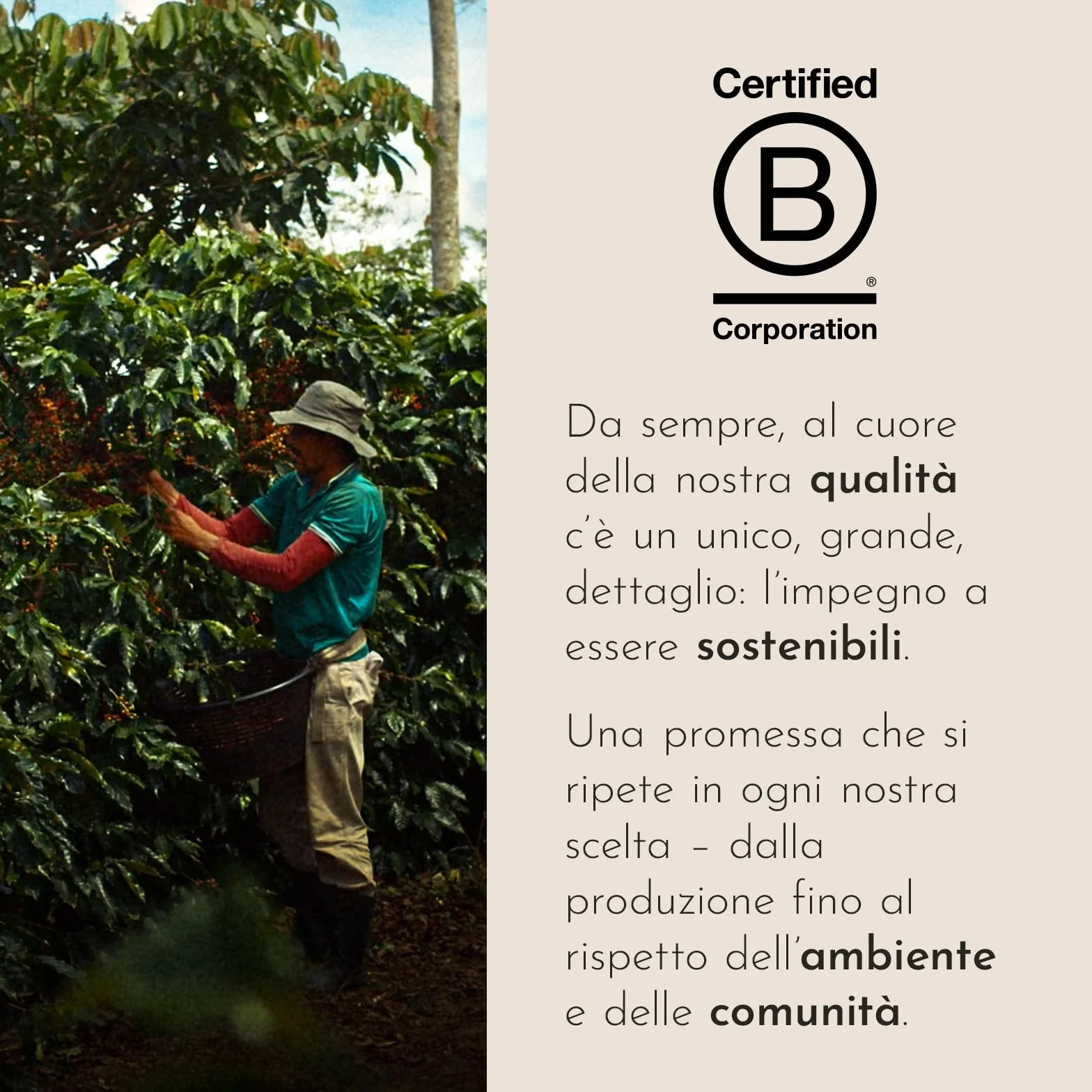 illy, Caffè in Cialde E.S.E Monodose Tostato INTENSO, 100% Arabica con Note di Cacao e Frutta Secca, Retrogusto Pieno e Corposo, 12 Confezioni da 18 Cialde Compostabili
