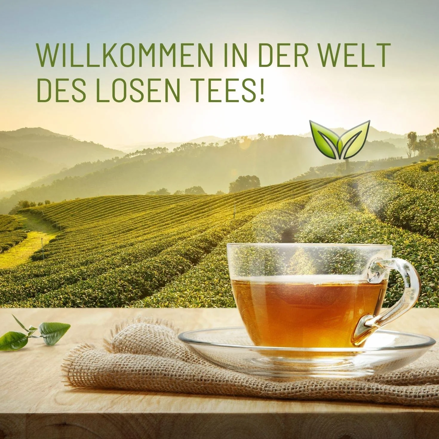 FRUTEG Tè biologico Rooibos senza Aromssps 1kg | Loser Bush Bush Tè nella migliore qualità della foglia | Godimento di tè gratuito naturale e caffeina | 1000 G.