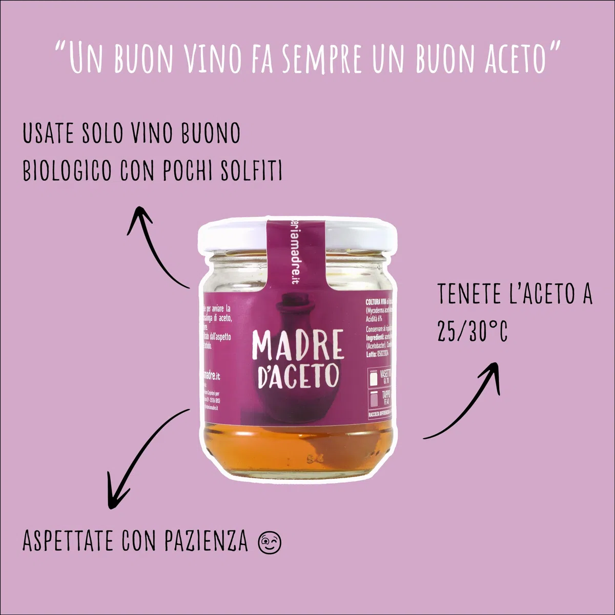 Madre d'aceto + istruzioni per ottenere l'aceto