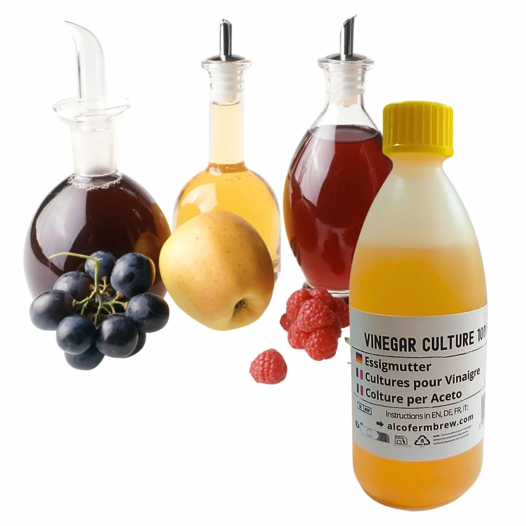 Madre di Aceto 100 ml | Batteri Acetici per Fermentazione | Starter per Aceto Fatto in Casa | Coltura Acetobacter