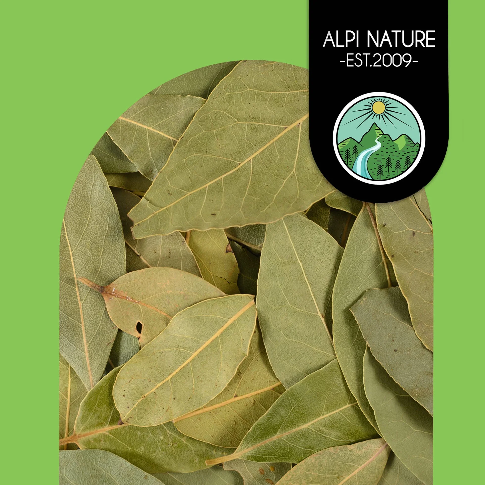 Alpi Nature Foglie di Alloro BIO 200g, Foglie Intere Essiccate, Spezia di Alloro per Cucina