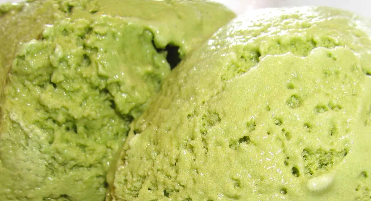 GR 1,250 Gelato O Sorbetto al Gusto Mela Verde per GELATERIA Prodotto Completo Artigianale