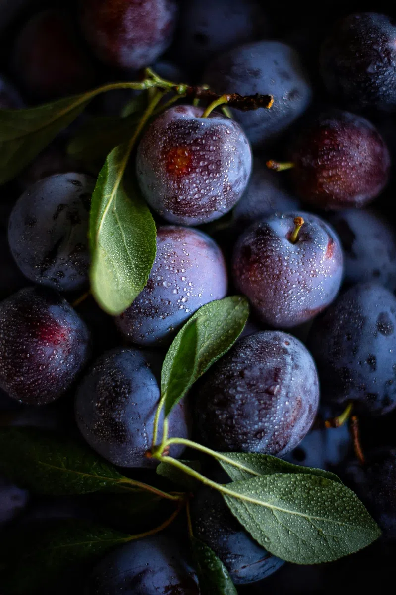 1kg di prugne BIO essiccate provenienti dalla Francia, snocciolate - prugne deliziose, non solforate e non zuccherate