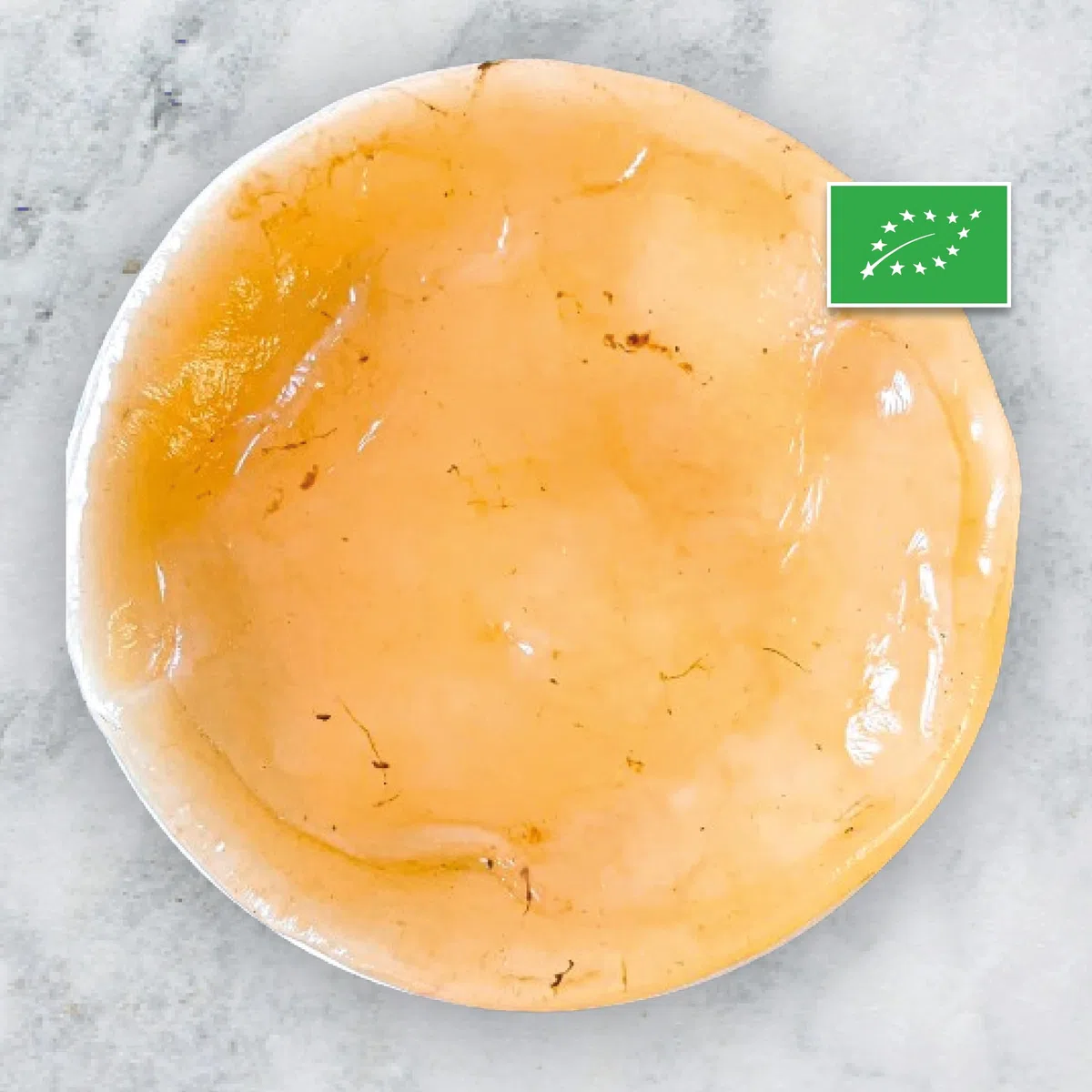 BIO Scoby di kombucha - Fresco - Riutilizzabile - Starter incluso - Controllato - Ricetta completa inclusa