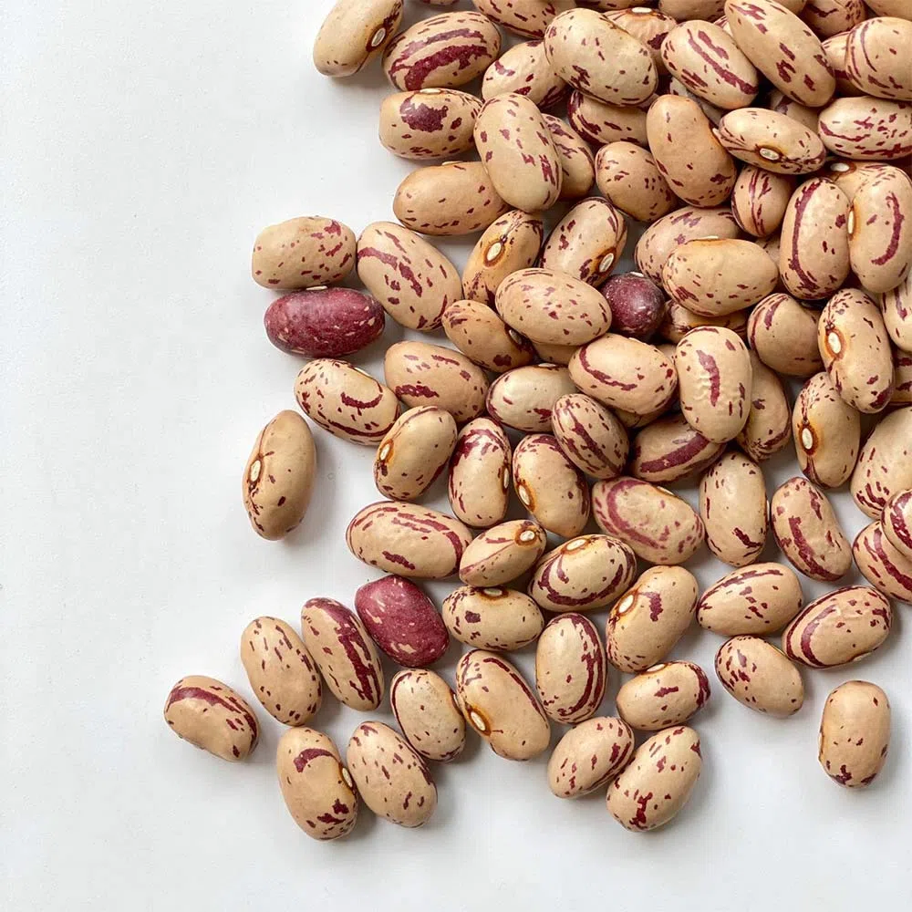 FAGIOLI BORLOTTI ITALIA | Il Contadino | Legumi Secchi (5 Kg)