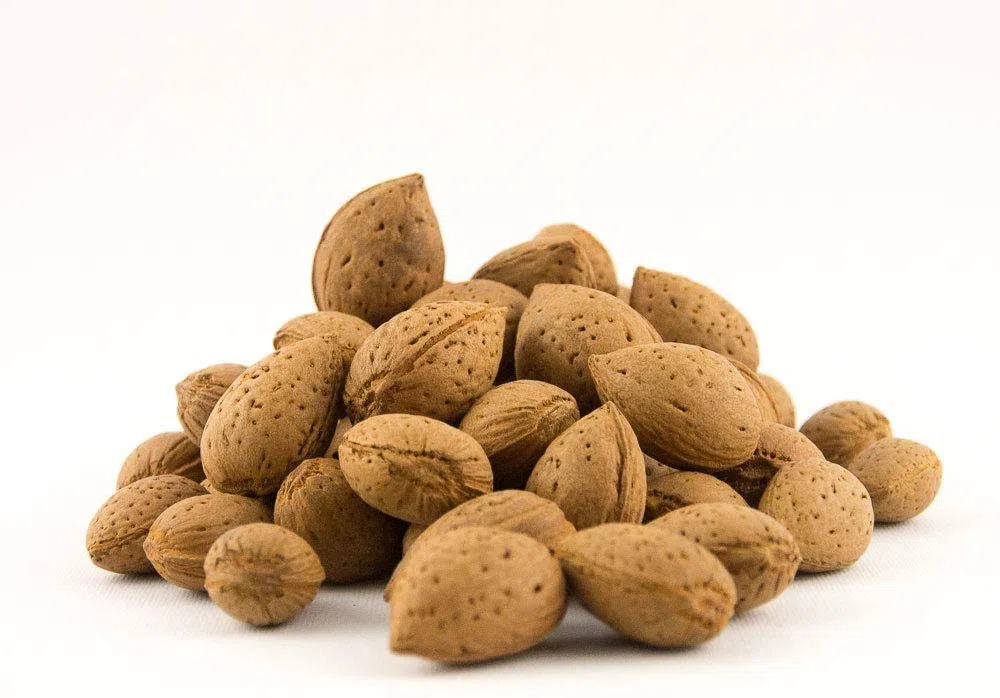 Mandorle con Guscio Varietà Tuono Confezione da 2.5 Kilogrammi
