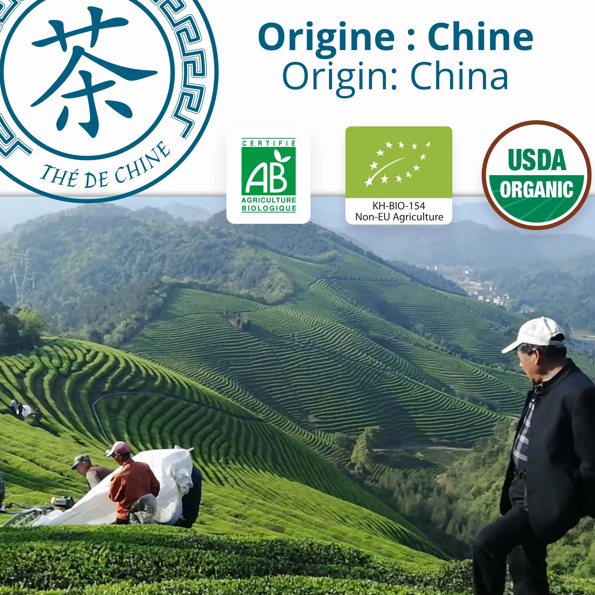 Khla - tè Oolong Bio - 80 Bustine - Tè Blu Biologico