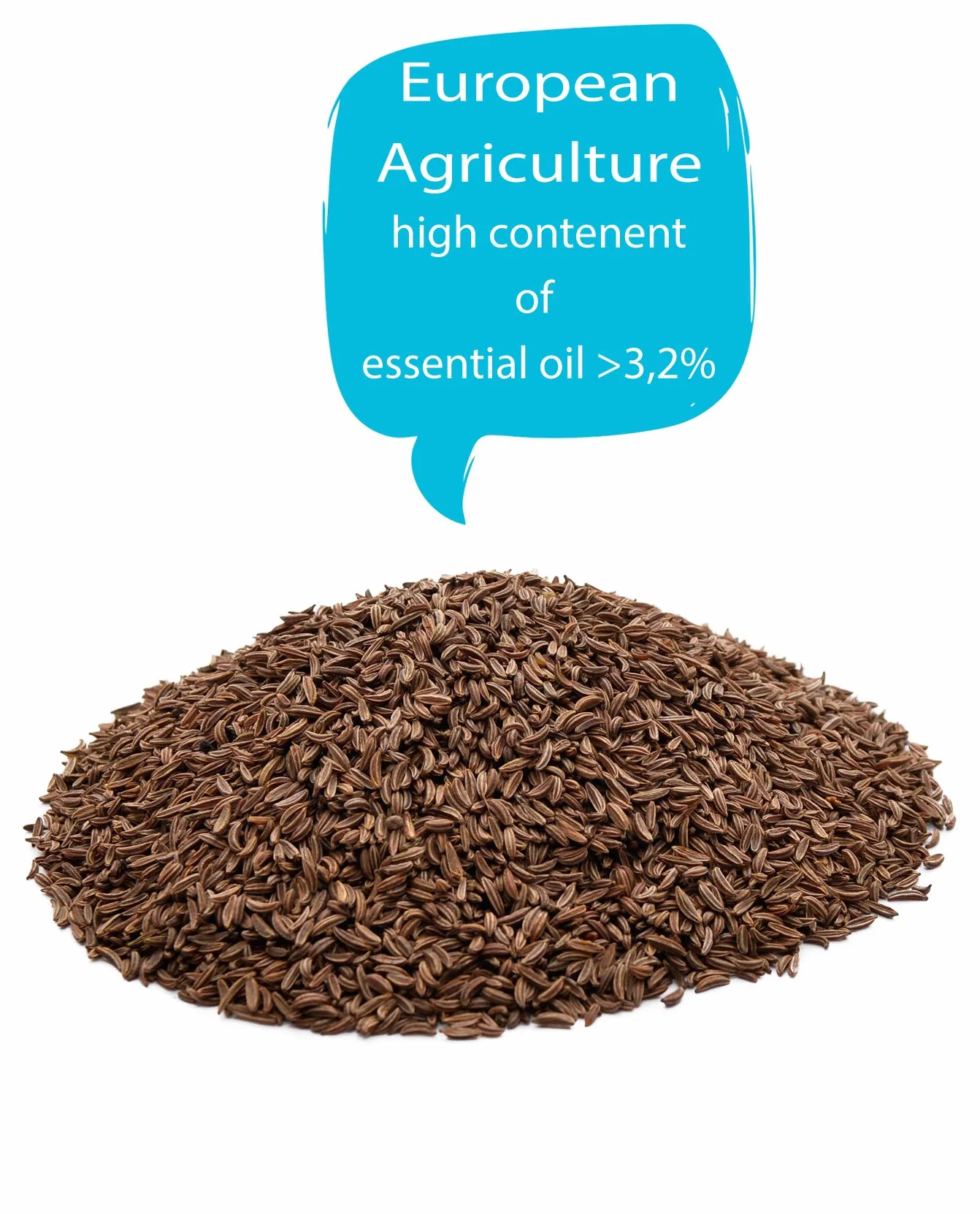 Semi di Cumino (Carum carvi fructus), Ricchi di Olio Essenziale, di Origine Europea 1KG