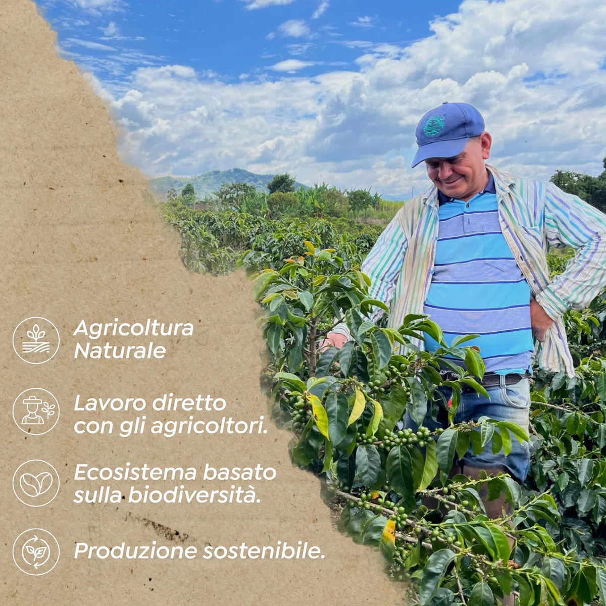 Chicchi di caffè speciali | Colombia | 100% Arábica | Natural | 84 puntos SCA | Neiva,Huila | 500g | 69 CrazyBeans Specialty Coffee | Chicchi di caffè arabica naturale
