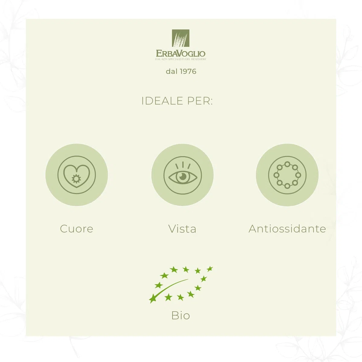 Erbavoglio Mirtilli Rossi Bio - 500 g - Alimento biologico - Antiossidanti protettivi per vie urinarie, infiammazione, cuore e difese naturali.